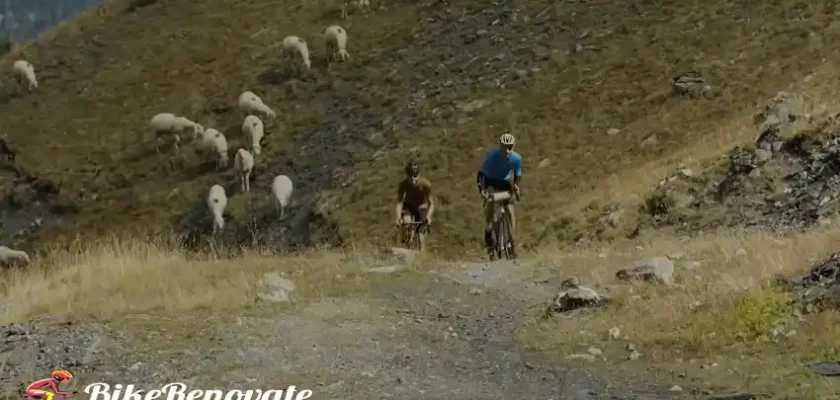 How Does Cycling Uphill Affect The Maximum Speed.jpg