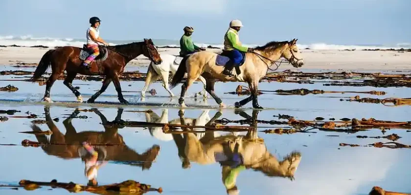 Can You Wear a Horse Riding Helmet on a Bike.jpg